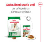 royal-canin-shn-dog-mini-ageing-8-gallery-6