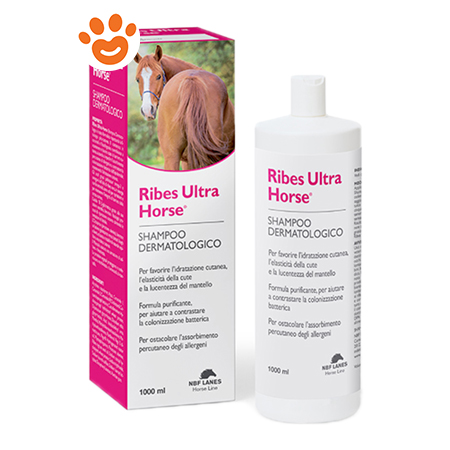 NBF Lanes Ribes Ultra Horse Shampoo Dermatologico - Amore Animale Shop