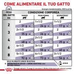 RC-VET-WET-CatMatCons-CV-6-it_IT