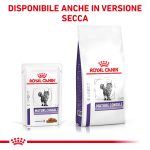 RC-VET-WET-CatMatCons-CV-8-it_IT