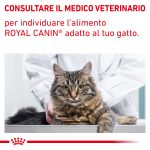 RC-VET-WET-CatMatCons-CV-9-it_IT