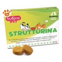 Buonapet Dog Strutturina