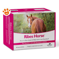 Confezione integratore Ribes Horse per cavalli