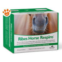 Confezione Ribes Horse Respiro per cavalli