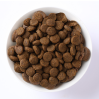 Ciotola di crocchette per cani