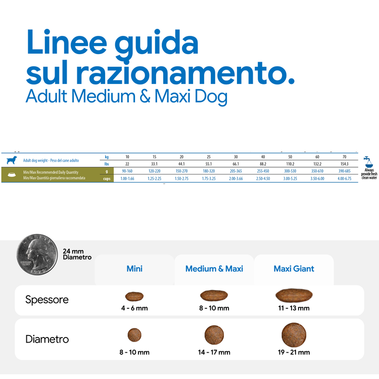 Linee guida razionamento e dimensioni crocchette cane