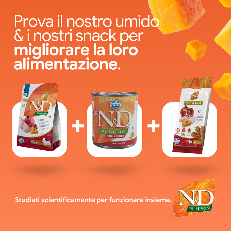 Linea N&D Pumpkin umido e snack per animali