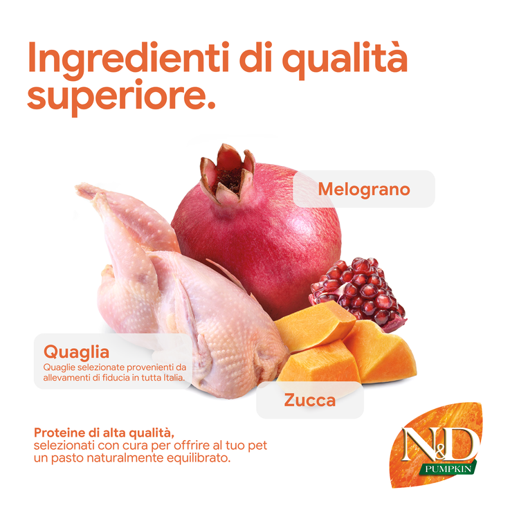 Ingredienti premium: quaglia, melograno e zucca