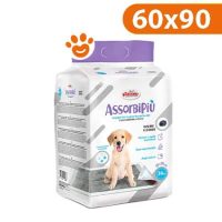 Record Assorbipiù con Carbone
Attivo (60x90) Tappetini Igienici Assorbenti