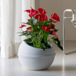 ama-vaso-sfera-con-sottovaso-bianco-ghiaccio-2