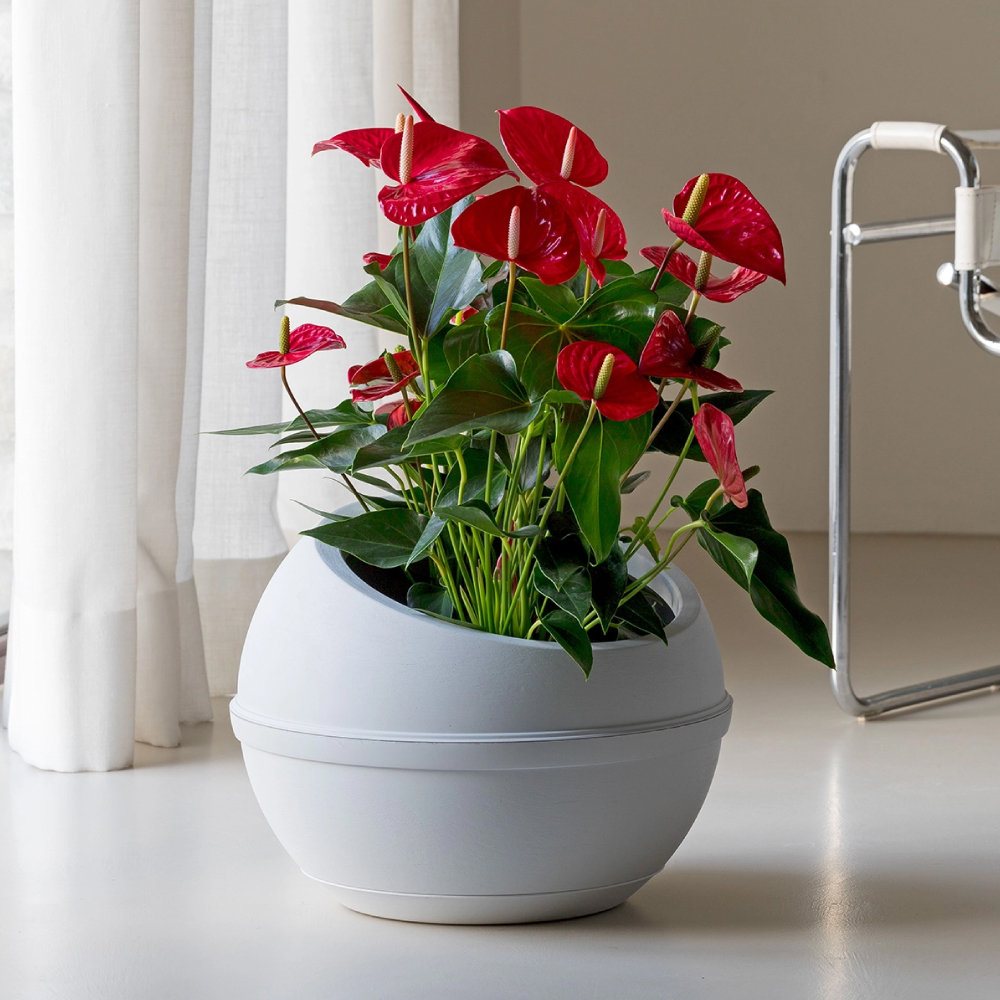 ama-vaso-sfera-con-sottovaso-bianco-ghiaccio-2