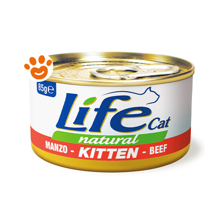 life-cat-natural-kitten-manzo