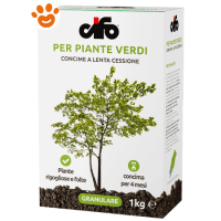 Cifo Concime Granulare Per Piante Verdi