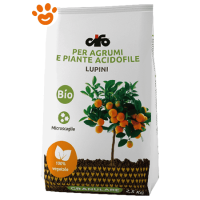 Cifo Concime Granulare Lupini