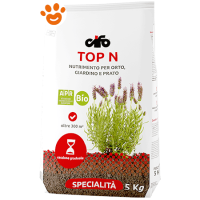 Cifo Top N