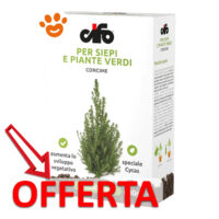 Concime per siepi e piante verdi in offerta