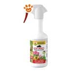 cifo-sapone-molle-nebullizzatore