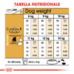 rc-bhn-frenchbulldog (4)