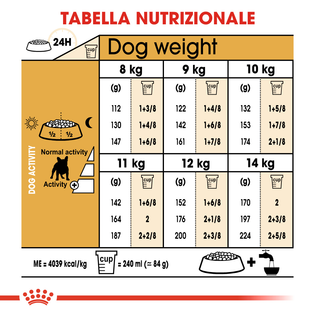rc-bhn-frenchbulldog (4)