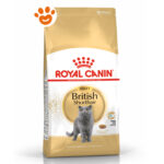 rc-cat-adut-british