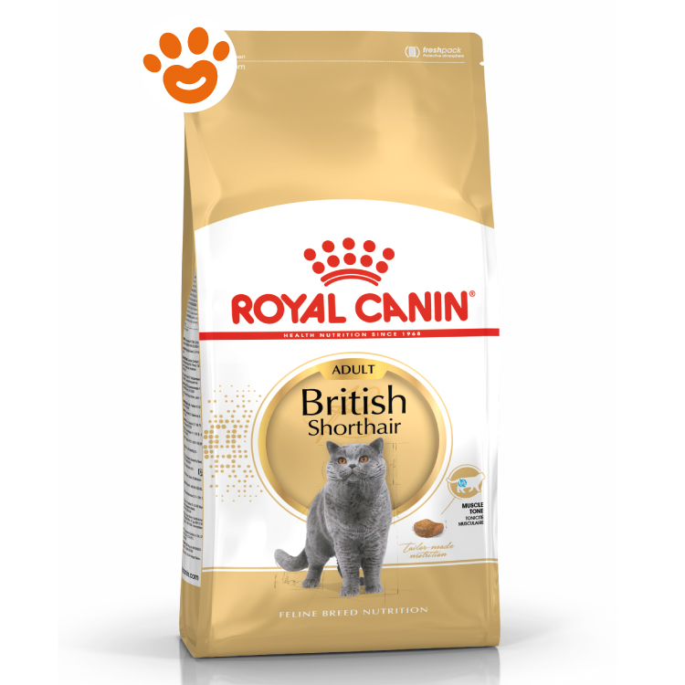 rc-cat-adut-british