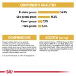 rc-fbn-british-sh (6)