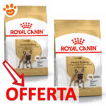 royal-canin-dog-adult-french-bulldog-bulldog-francese-mp