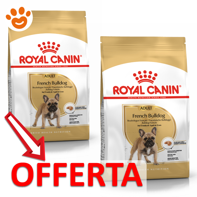 royal-canin-dog-adult-french-bulldog-bulldog-francese-mp