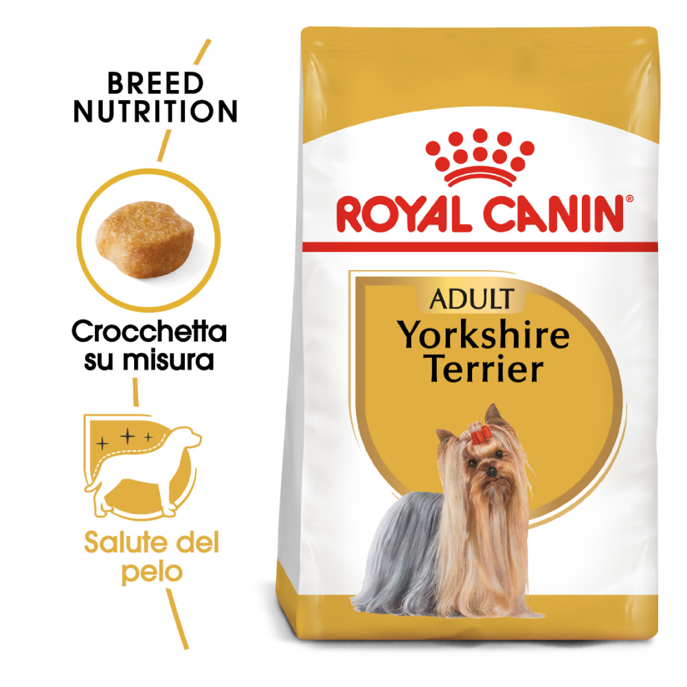 royal-canin-dog-adult-yorkshire-gallery-6