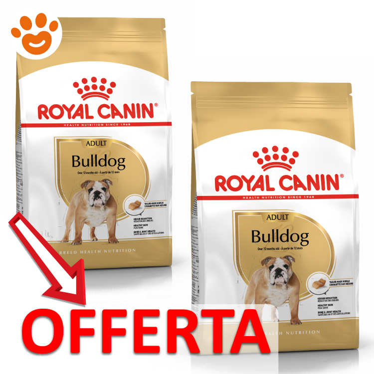 royal-canin-dog-bhn-pug-carlino-adult-mp