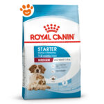 royal-canin-dog-medium-starter-motherbabydog