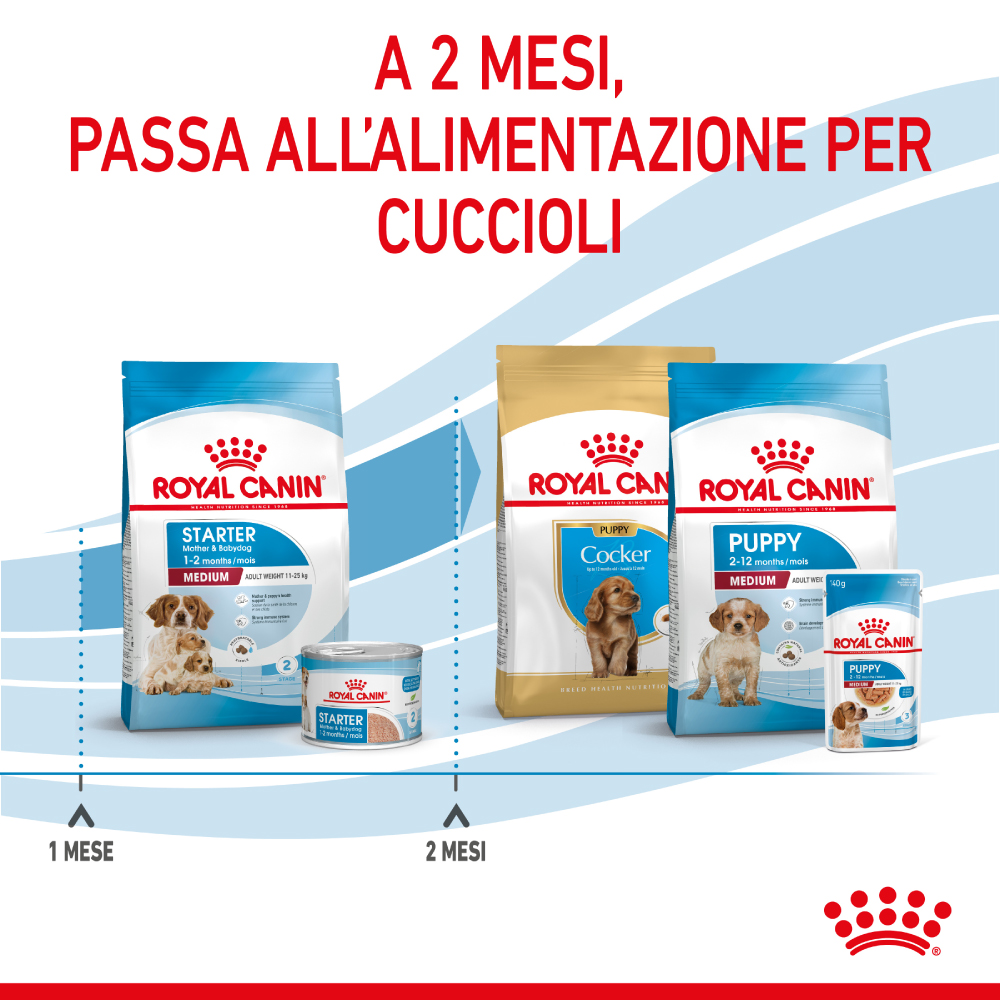 royal-canin-dog-medium-starter-motherbabydog-gallery-4