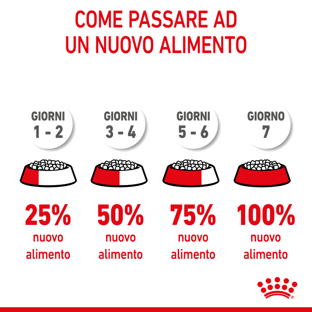 royal-canin-dog-medium-starter-motherbabydog-gallery-7