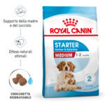 royal-canin-dog-medium-starter-motherbabydog-gallery-8