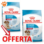 royal-canin-dog-medium-starter-motherbabydog-mp