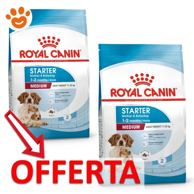 royal-canin-dog-medium-starter-motherbabydog-mp
