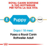royal-canin-dog-puppy-rottweiler-gallery-4