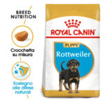 royal-canin-dog-puppy-rottweiler-gallery-7
