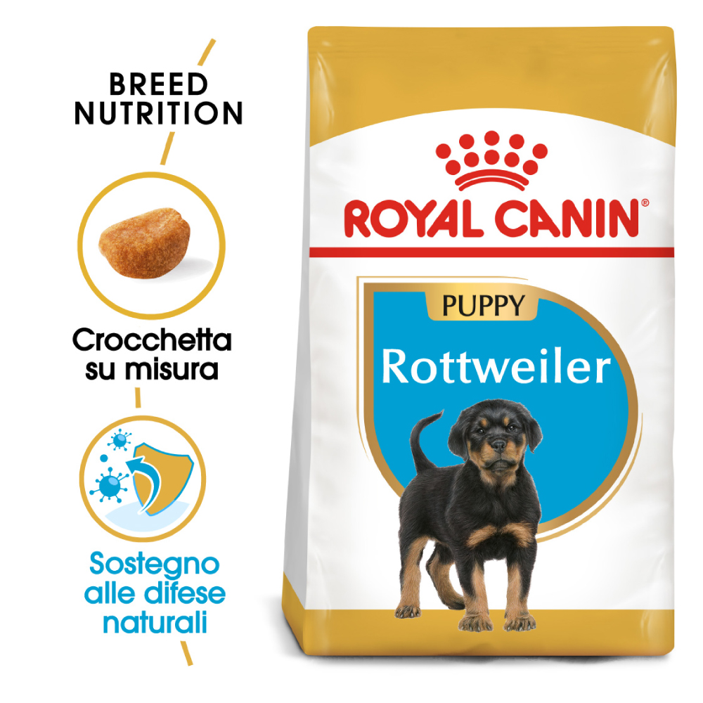 royal-canin-dog-puppy-rottweiler-gallery-7