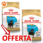 royal-canin-dog-puppy-rottweiler-mp