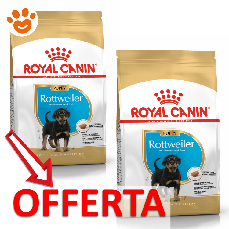 royal-canin-dog-puppy-rottweiler-mp