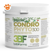Barattolo integratore articolazioni Condro Phyto 300
