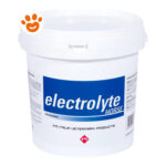 fm-italia-electrolyte-horse