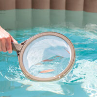 Retino pulisci piscina che raccoglie foglie