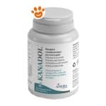 aurora-biofarma-dog&cat-kanadol