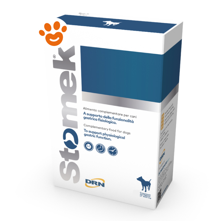drn-dog-stomek-compresse