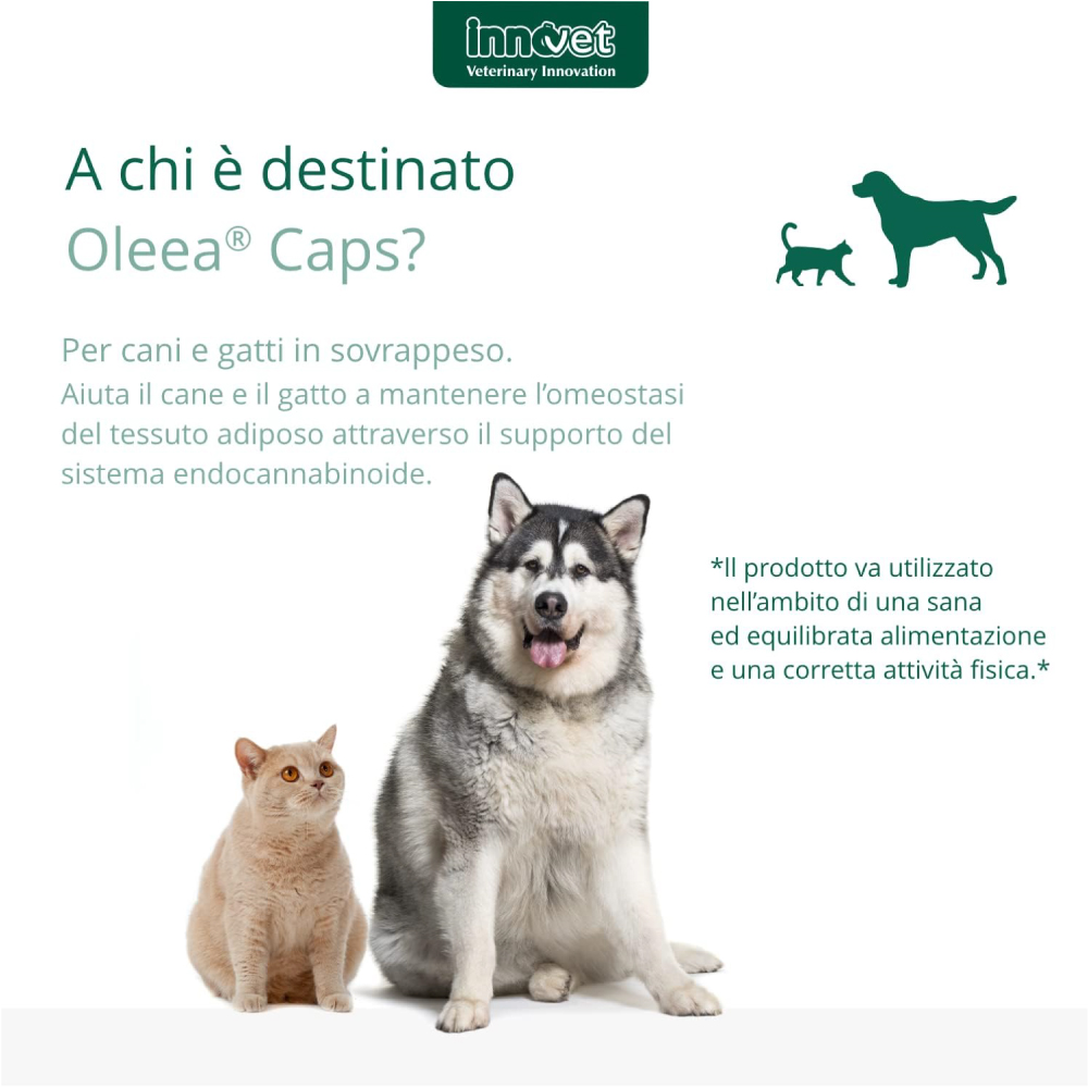 Cane e gatto per integratore Olea Caps