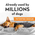 ceva-dog-thundershirt-gallery-2