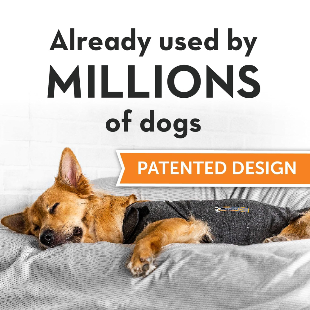ceva-dog-thundershirt-gallery-2