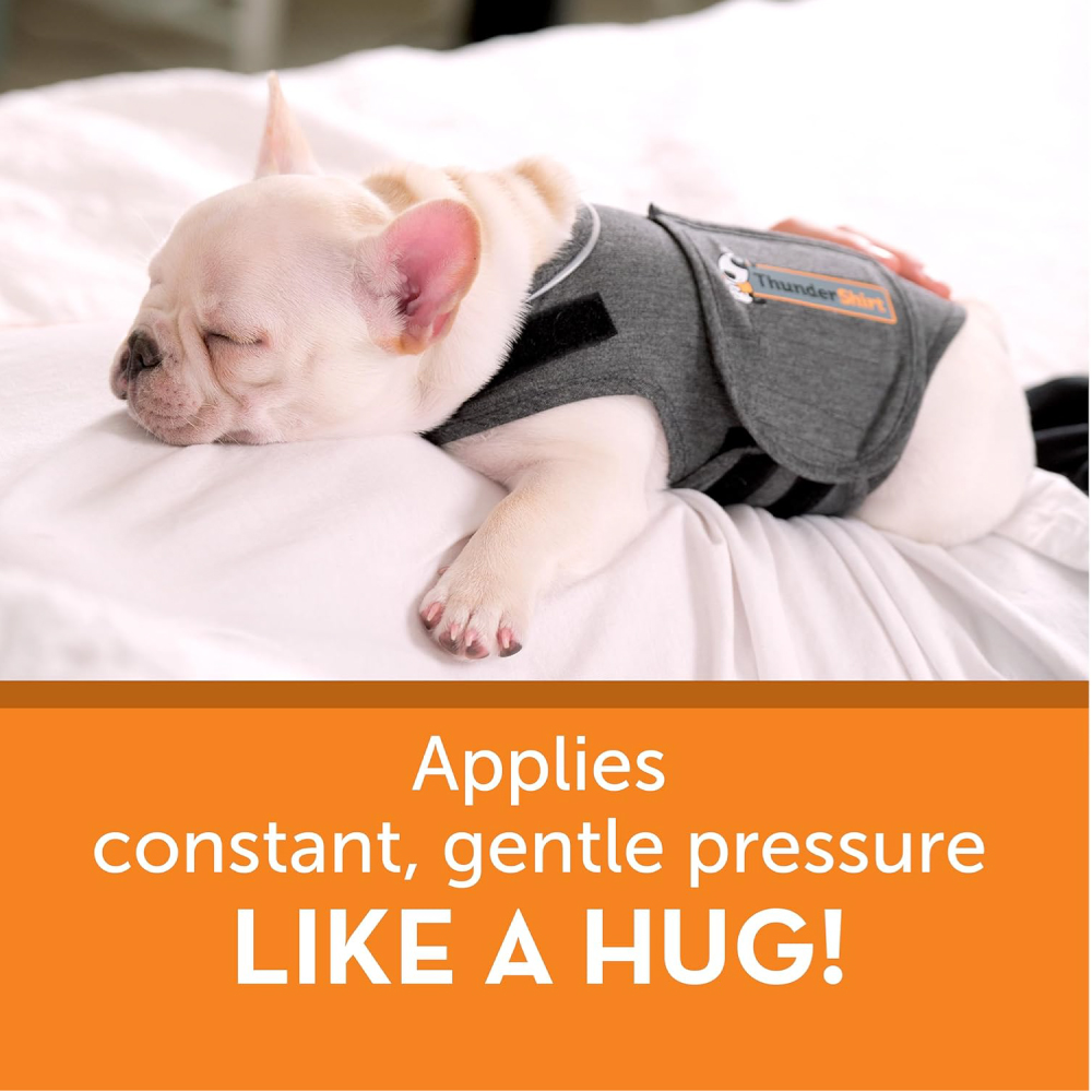 ceva-dog-thundershirt-gallery-4